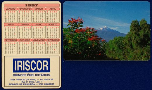 Iriscor 21 (1997)