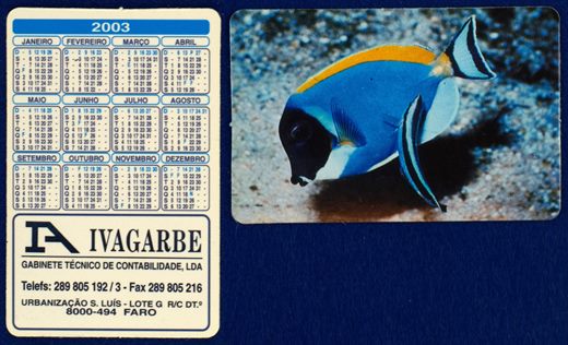 Ivagarbe 2003