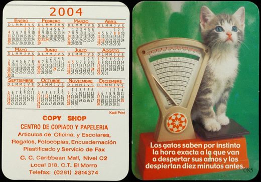 Copy Shop 085 2004