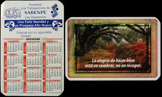 Sabenpe 2008