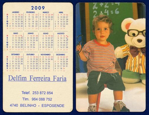 Delfim Ferreira Faria 2009