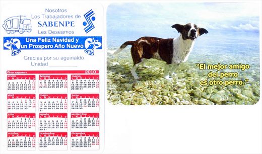 SABENPE 02 2010