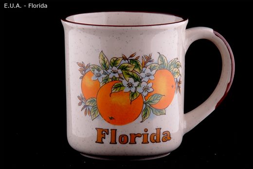 E.U.A. Florida