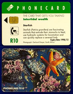 Telkom 04