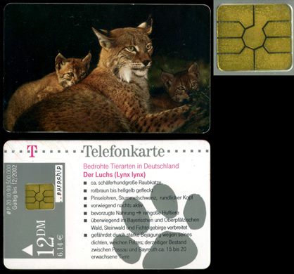 P 20 10.99 2002-12 - 12DM-6,14Eur