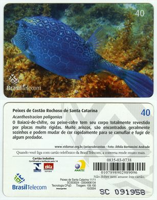 Brasil Telecom - Peixes de Santa Catarina 11-11 - 40 2004-10