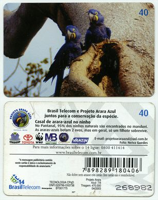 Brasil Telecom - Projeto Arara - 40 2003-04