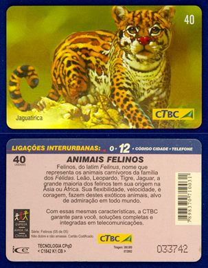 CTBC - Serie Felinos 05-05