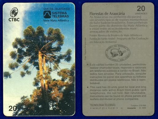 CTBC - Serie Mata Atlantica 06