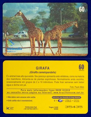 Telebrasilia 2