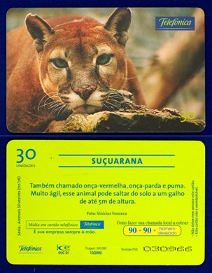 Telefonica Serie Animais Silvestres 02-26