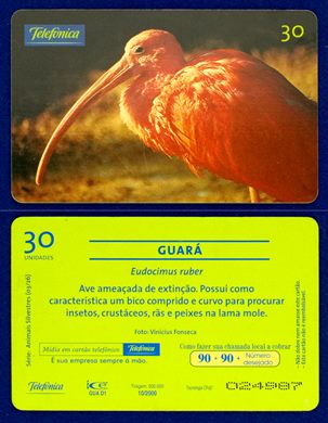 Telefonica Serie Animais Silvestres 03-26