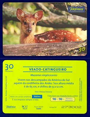 Telefonica Serie Animais Silvestres 07-26