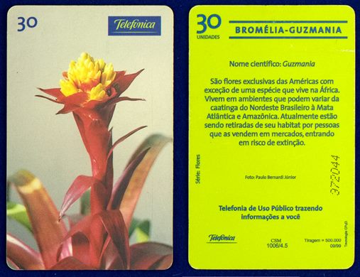 Telefonica Serie Flores 04