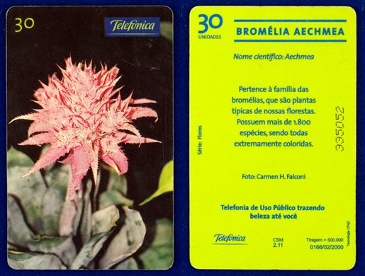 Telefonica Serie Flores 05