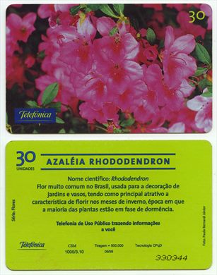 Telefonica Serie Flores 07