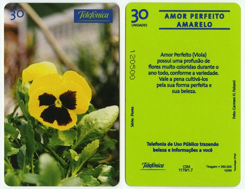 Telefonica Serie Flores 09