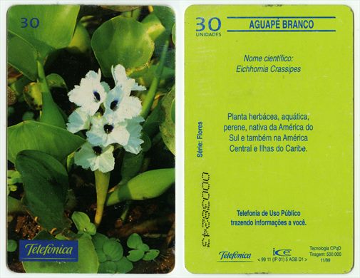 Telefonica Serie Flores 11
