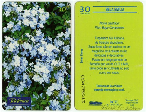 Telefonica Serie Flores 12