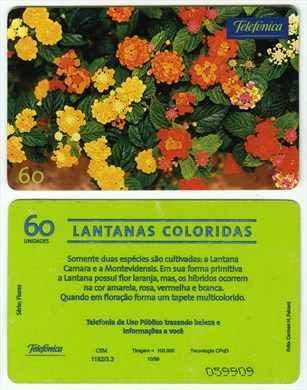Telefonica Serie Flores 14