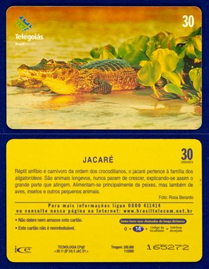 Telegoias Jacare