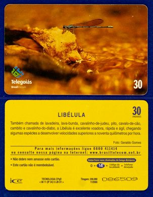 Telegoias Libelula