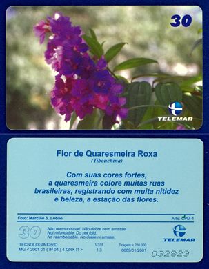 Telemar Flores 0089