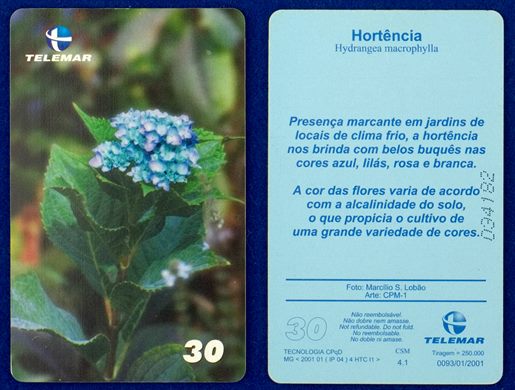 Telemar Flores 0093