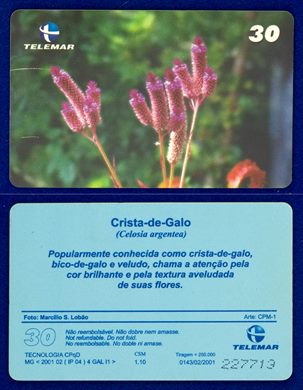 Telemar Flores 0143