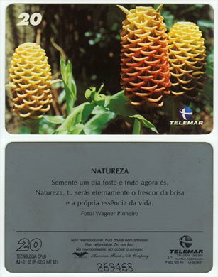 Telemar Natureza 20 2001-05