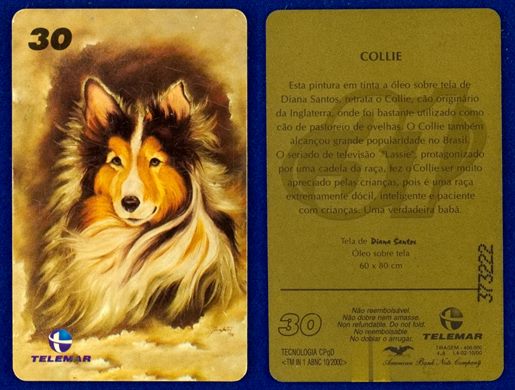 Telemar Oleo sobre tela Collie
