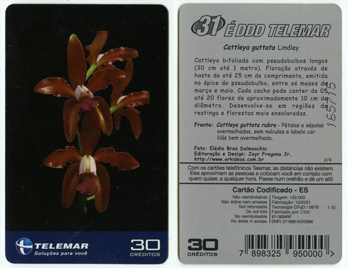 Telemar Orquideas 2-4 30 2001-10