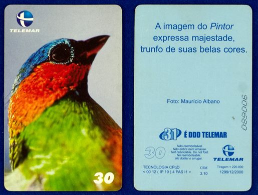 Telemar passaro