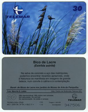 Telemar Passaros 30 2002-05