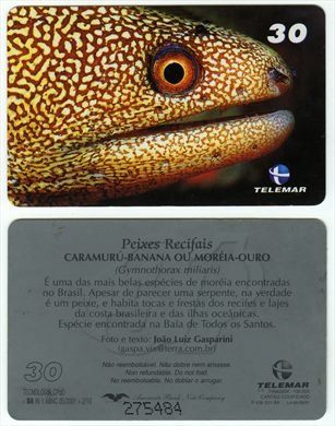 Telemar Peixes Recifais 2-10 30 2001-05