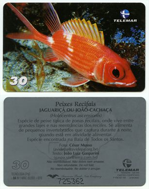 Telemar Peixes Recifais 6-10 30 2001-05