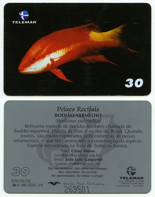 Telemar Peixes Recifais 9-10 30 2001-05