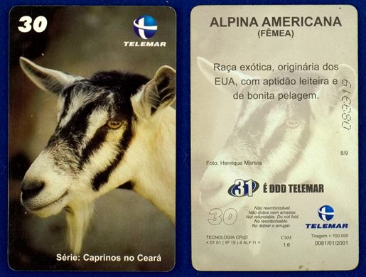 Telemar Serie Caprinos no Ceara 8-9