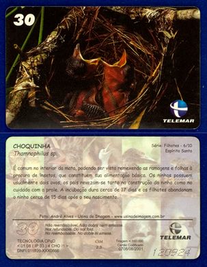 Telemar Serie Filhotes 6-10