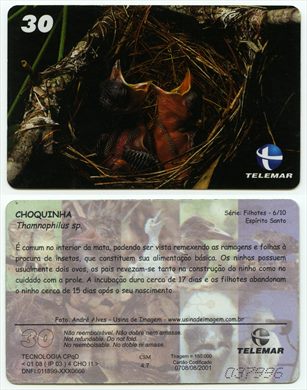 Telemar Serie Filhotes 6-10 30 2001-07