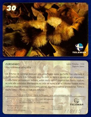 Telemar Serie Filhotes 7-10