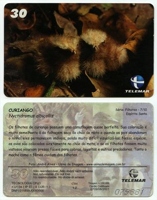 Telemar Serie Filhotes 7-10 30 2001-07