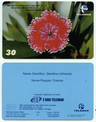 Telemar Serie Flores 30 2001-06 CSM 3.7