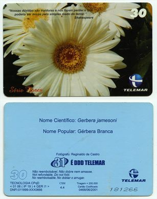 Telemar Serie Flores 30 2001-06 CSM 4.4