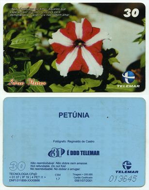 Telemar Serie Flores 30 2001-07 CSM 1.7