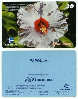 Telemar Serie Flores 30 2001-07 CSM 4.3