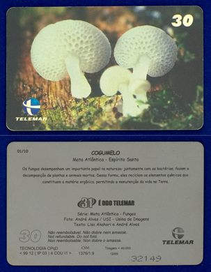 Telemar Serie Mata Atlantica Fungos 01-10