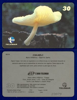 Telemar Serie Mata Atlantica Fungos 03-10