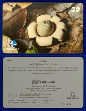 Telemar Serie Mata Atlantica Fungos 06-10