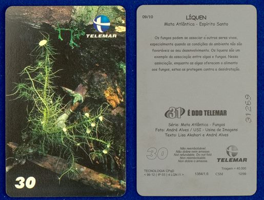 Telemar Serie Mata Atlantica Fungos 09-10
